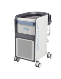 EmsculptNeo Johor Bahru (JB) | Aesthetic Clinic Johor Bahru (JB) | Aesthetic Treatment Johor Bahru (JB)